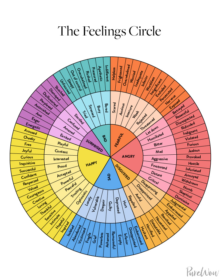 emotional regulation feelings circle